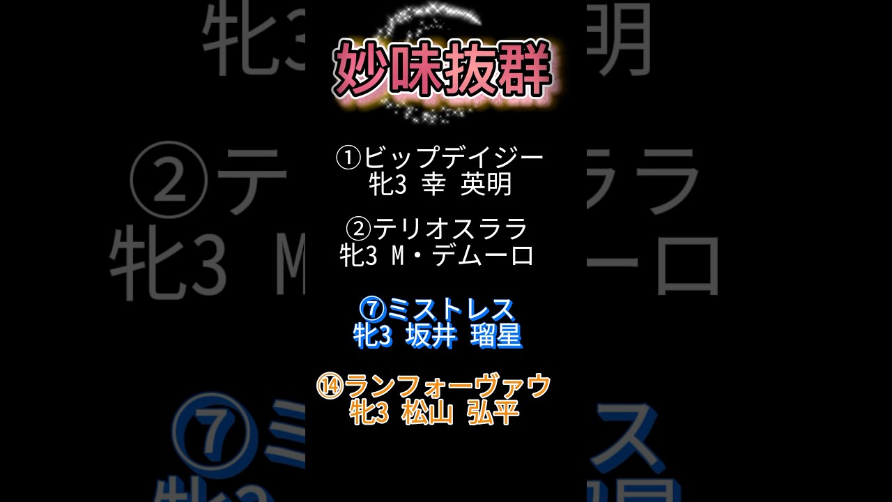 2024,12,8『GI 阪神ジュベナイルフィリーズ』