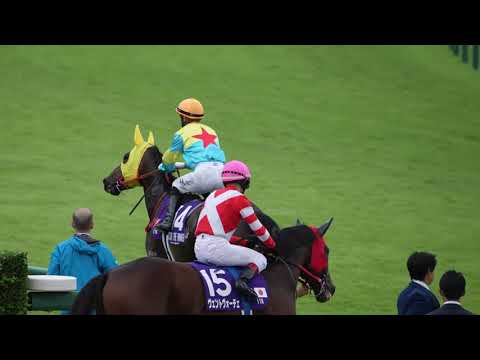 ビクターザウィナーの本馬場入場 2024年スプリンターズステークス