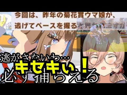 【キセキ】おニュイ、「昨年の菊花賞ウマ娘」登場に泣く【ウマ娘】【にじさんじ切り抜き】