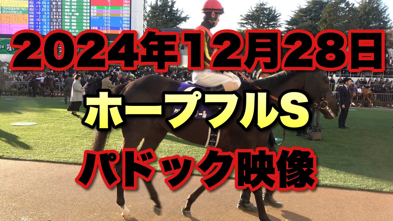 【4K動画】2024年ホープフルSパドック【クロワデュノール】