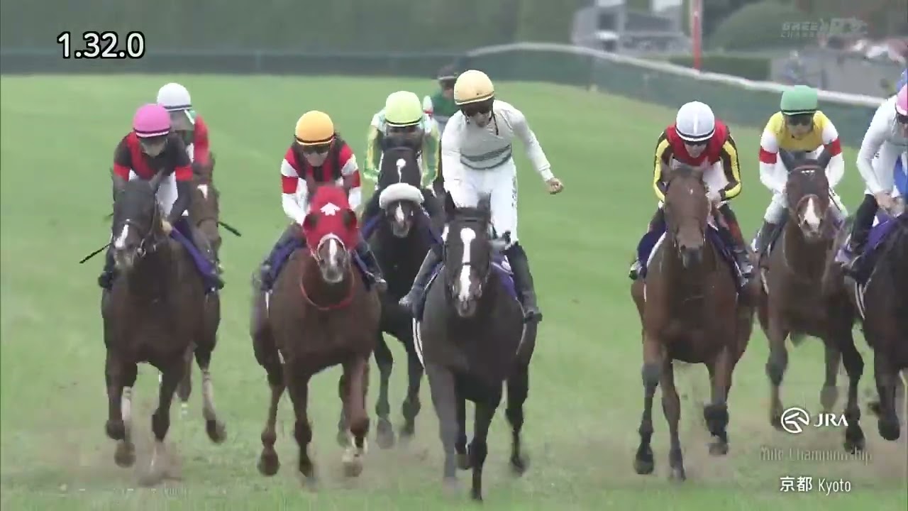 2024年マイルチャンピオンシップ　ソウルラッシュ