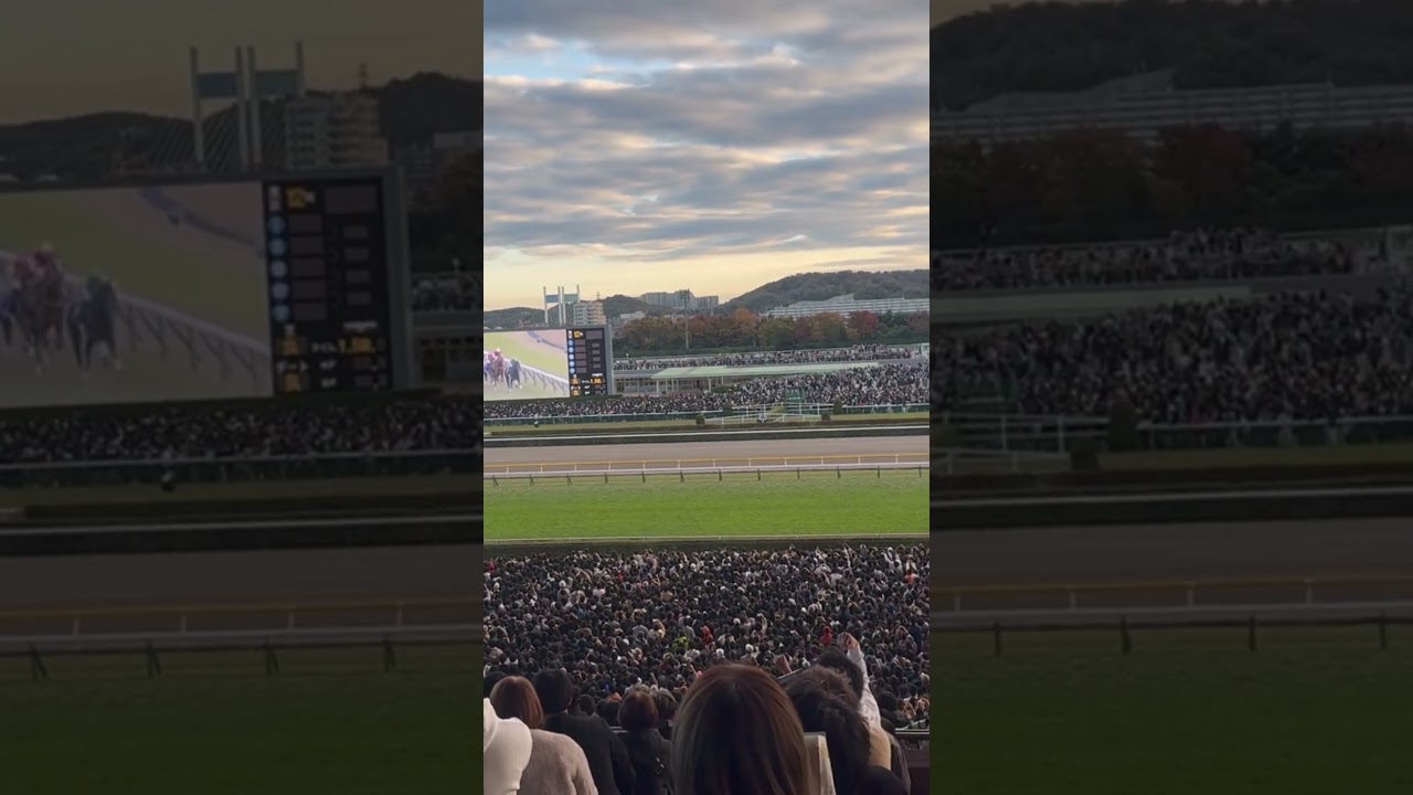 ジャパンカップ　ドウドュース勝利の瞬間