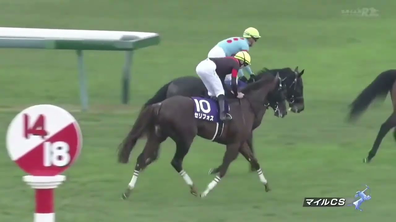 2022年 第39回 マイルチャンピオンシップ(G1)(セリフォス、D.レーン)