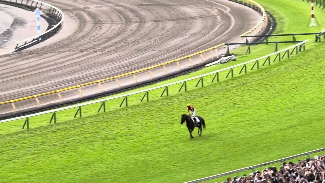 【第92回東京優駿（日本ダービー）】クロワデュノール号のウイニングラン【20250601】