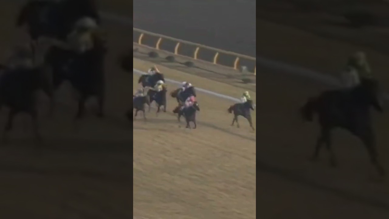 #shorts 1992 ジャパンカップ #トウカイテイオー #岡部幸雄