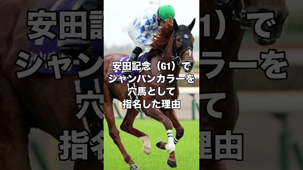 安田記念（G1）でシャンパンカラーを穴馬として指名した理由  #競馬 #予想 #競馬予想 #買い目 #東京競馬 #東京競馬場 #jra #安田記念 #重賞 #シャンパンカラー #穴馬 #万馬券