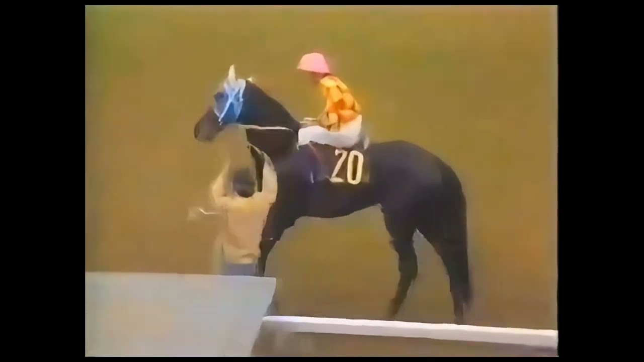 第37回1976年(昭和51年)　菊花賞　グリーングラス#horse #馬#競馬#菊花賞#テンポイント#トウショウボーイ#グリーングラス