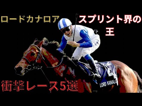 【ロードカナロア】衝撃レース5選　〜スプリント界の王〜　#競馬 #ロードカナロア　競馬