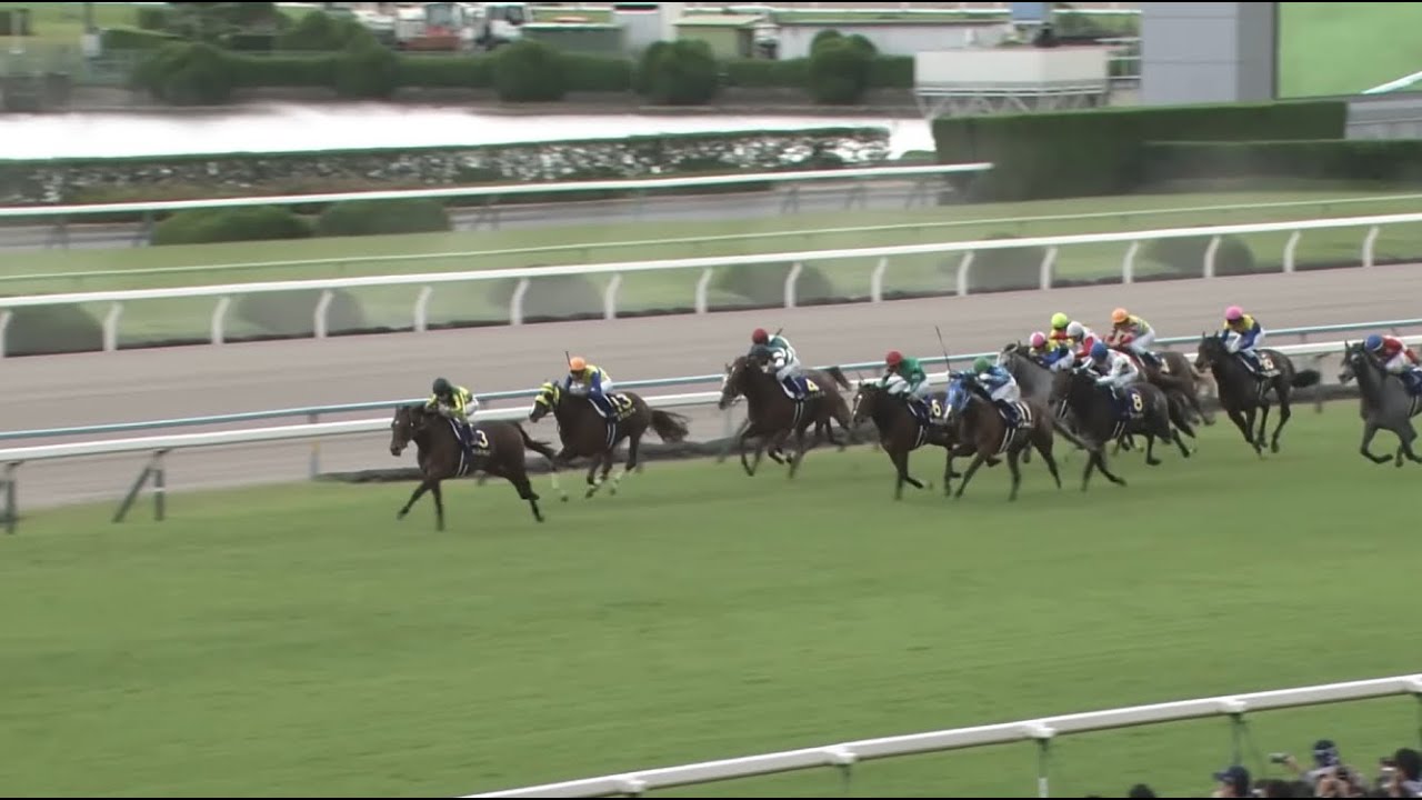 【競馬MAD】サトノダイヤモンド 第77回菊花賞『夢のこたえ』