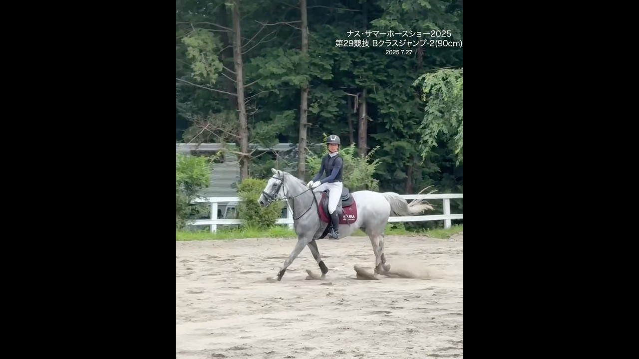 ヨクエロマンボ 中山競馬場の誘導馬 Bクラスジャンプ(90cm) ナス・サマーホースショー2025