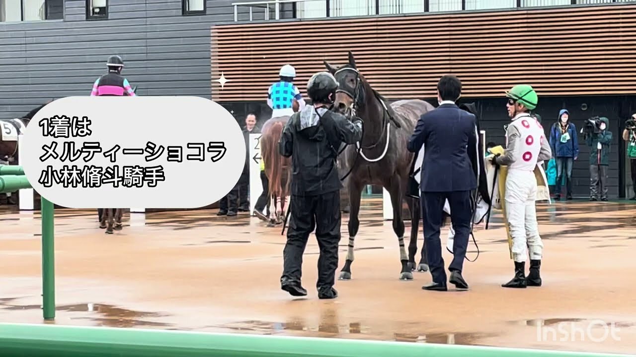 2023年4月25日中山1Rパドックと馬が戻ってくるとこ。