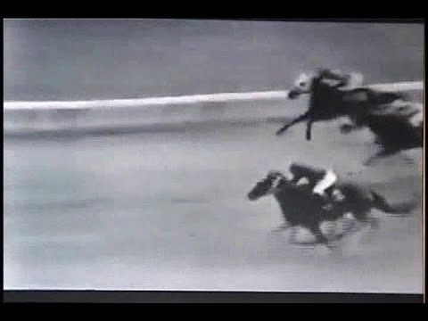 1964年菊花賞　シンザン 、３冠達成！　～ラジオ実況