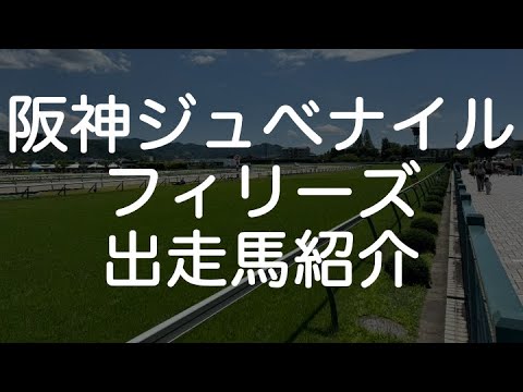 阪神ジュベナイルフィリーズ(2024) 出走馬紹介