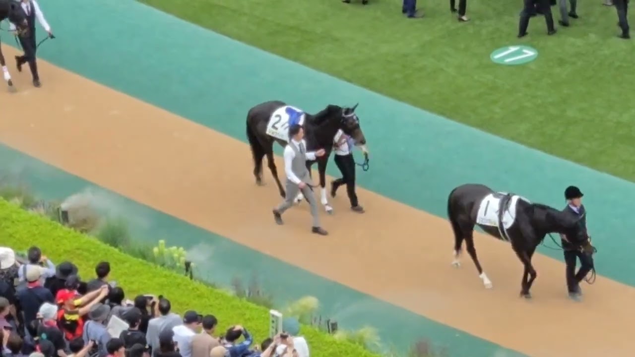 2025　東京優駿日本ダービーパドック