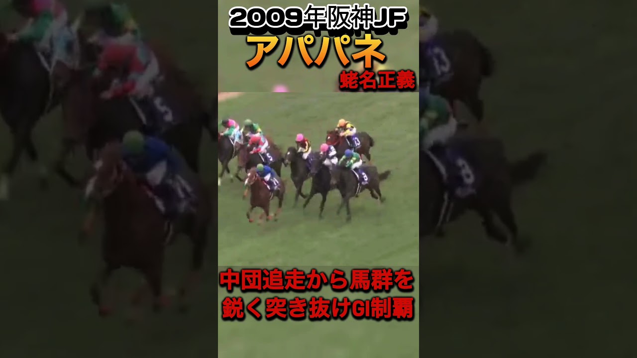 2009年阪神JF アパパネ#競馬 #名馬 #ダイジェスト版 #アパパネ#阪神jf #shorts #horse