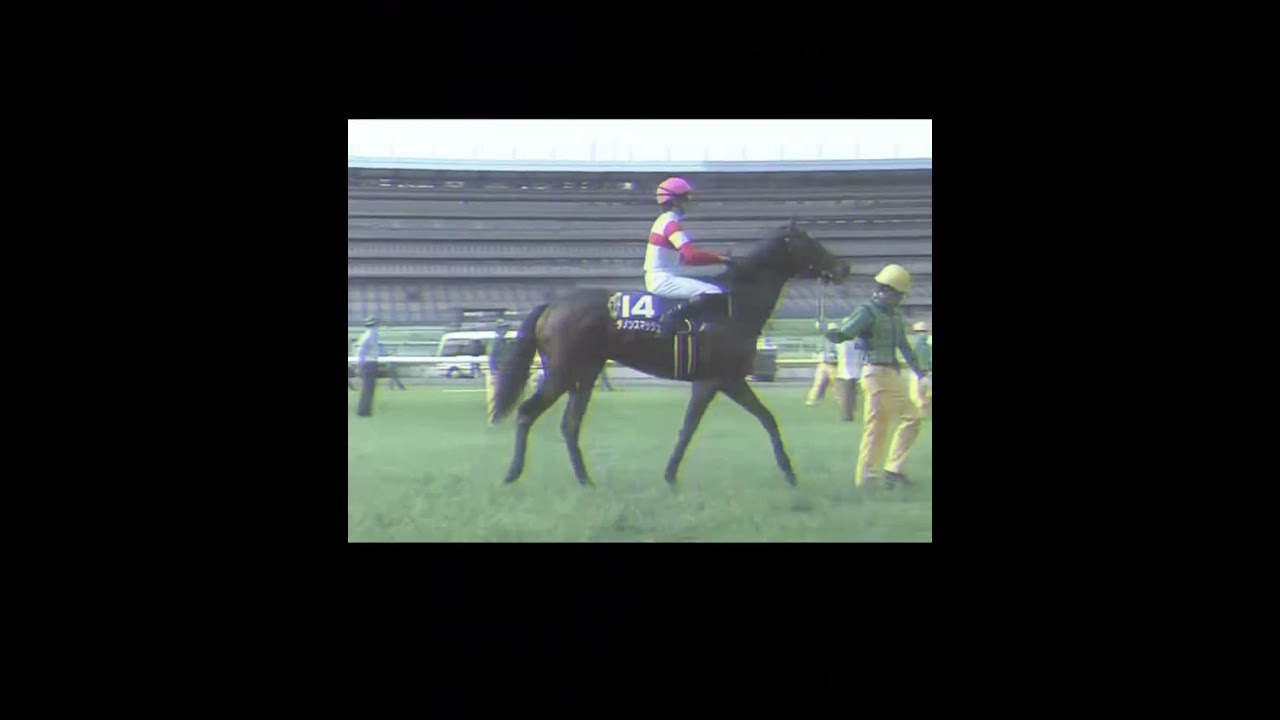 安田記念2020【アーモンドアイの夢を打ち砕いた桜の女王グランアレグリア】#安田記念#グランアレグリア#アーモンドアイ#競馬