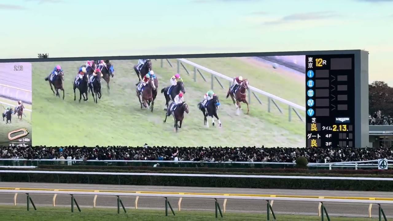 [現地観戦] 2024/11/24 第44回 ジャパンカップ GI - ラスト直線