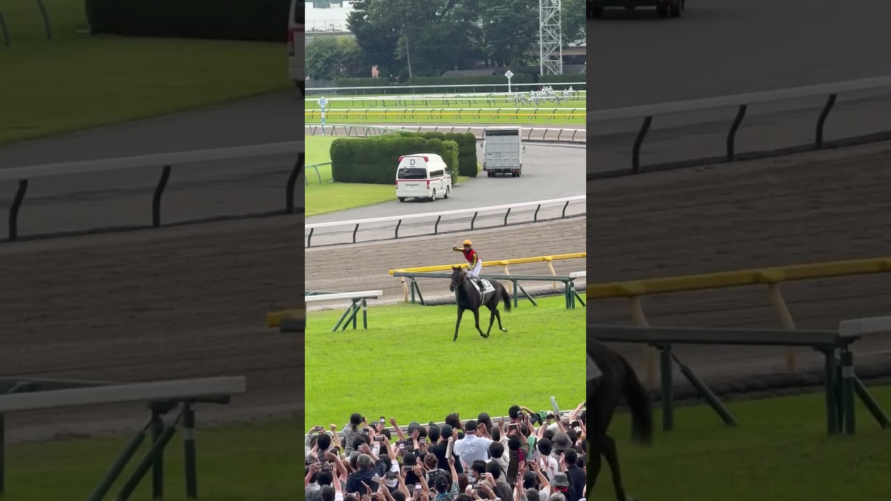 2025東京優駿(日本ダービー) クロワデュノール　ウイニングラン