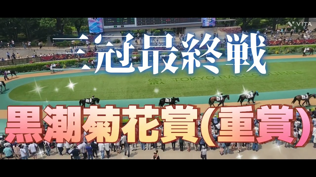 高知 黒潮菊花賞(重賞)の予想