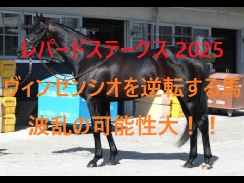 レパードステークス 2025 ヴィンセンシオを逆転する馬 波乱の可能性大！！
