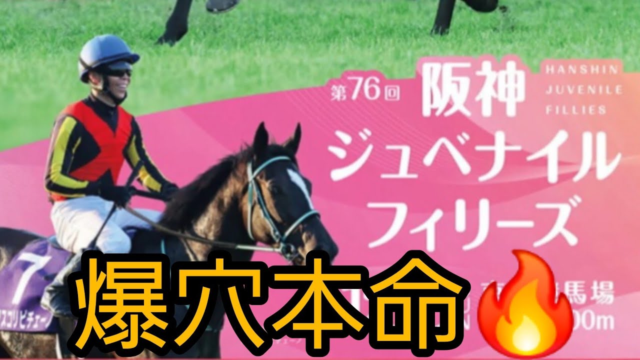 天童けいの競馬予想　Ｇ1阪神ジュベナイルフィリーズ　大穴狙います‼️