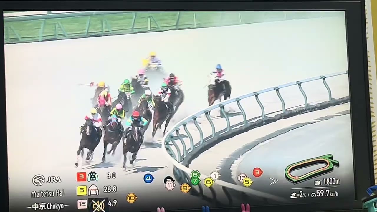 【競馬実況動画2025】名鉄杯　マリオロード（アレクシ・バデル）