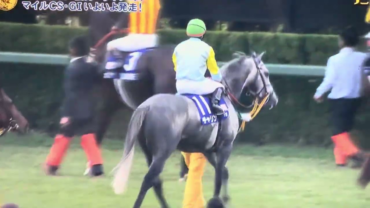 2024年 マイルCS ファンファーレ🎶