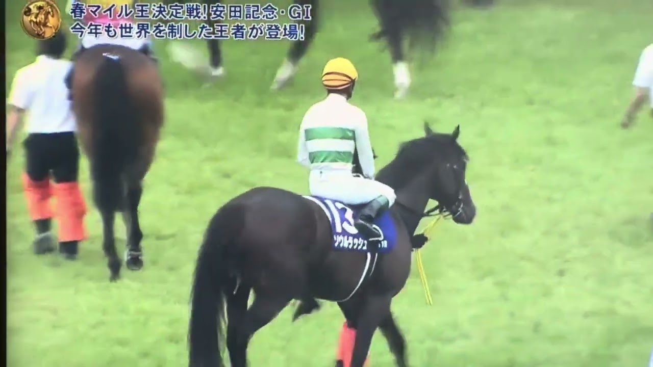 2025年 安田記念 ファンファーレ🎶