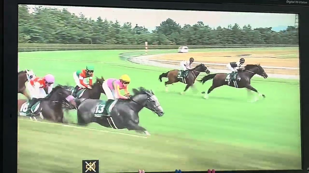 【競馬実況動画2025】第25回アイビスサマーダッシュ　ピューロマジック（クリストフ・ルメール）