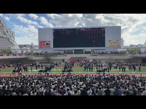 阪神競馬場 秋華賞 パドック