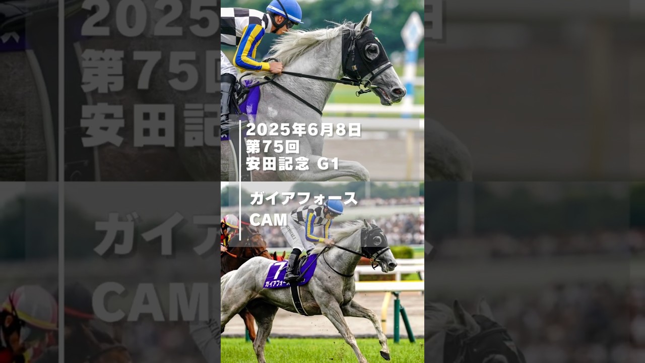 【2025年安田記念現地】ガイアフォースCAM【キタサンブラック産駒】