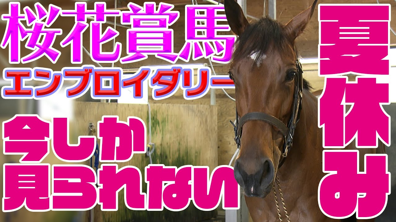 【配信限定】桜花賞馬エンブロイダリーの夏休みに潜入！｜ウイニングTube