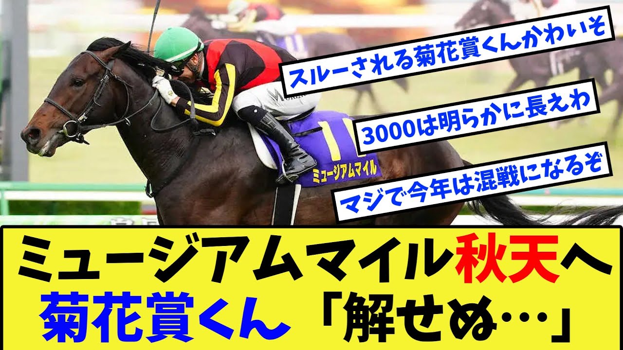 【競馬】皐月賞馬ミュージアムマイル、セントライト記念から天皇賞秋へに対する反応集【競馬の反応集】