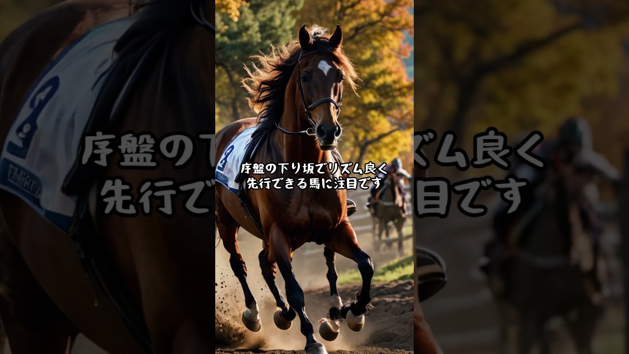 マイルチャンピオンシップ