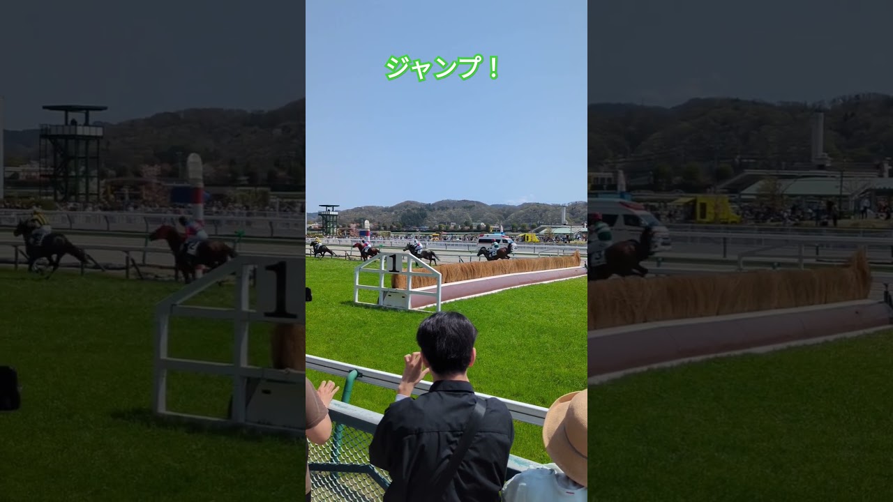 障害レースで馬がジャンプ！ #福島観光 #福島県 #福島競馬 #福島競馬場 #障害レース