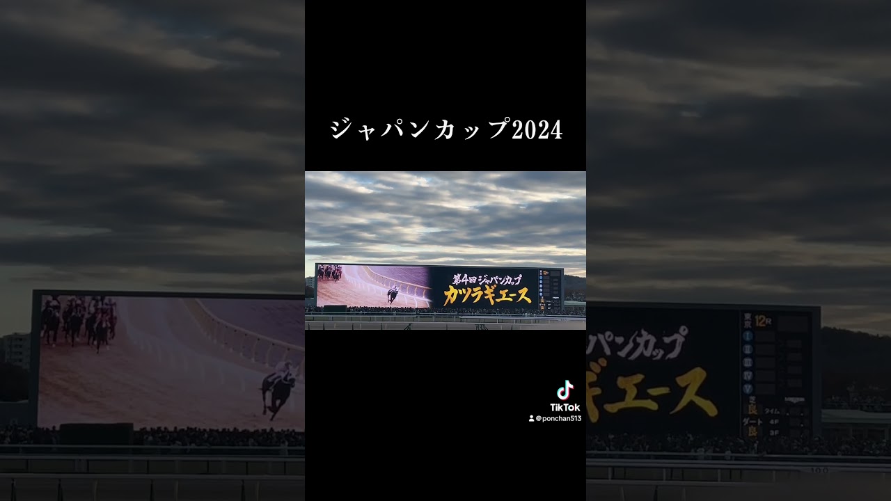 ジャパンカップ2024✨レース前の演出が良い🙆#ジャパンカップ#ドウデュース