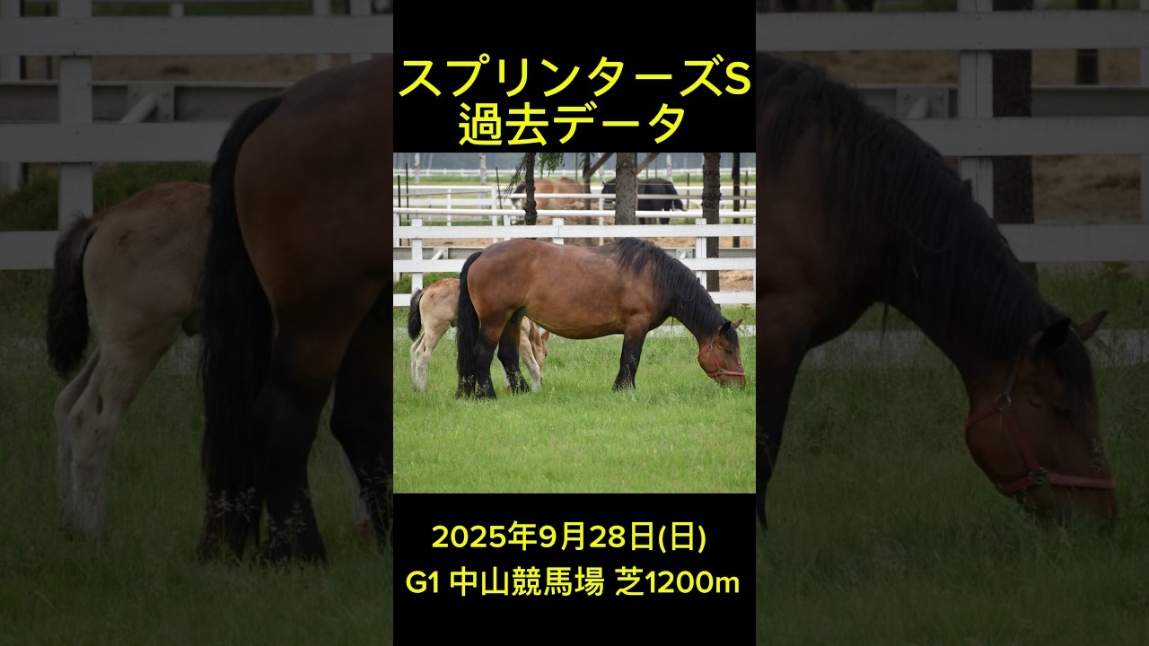 スプリンターズステークス過去データ　#競馬 #競馬予想 #統計 #スプリンターズs #スプリンターズステークス