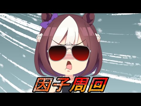 【ウマ娘】秋華賞用に因子周回【LIVE】