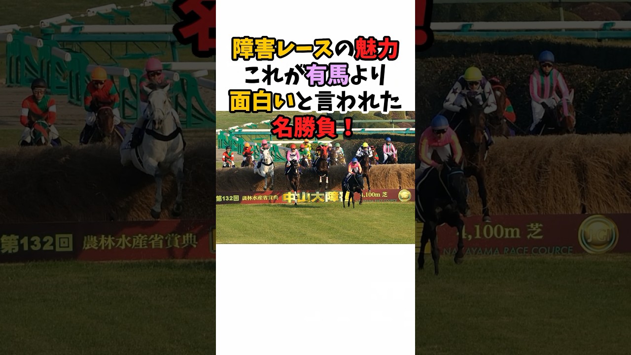 障害レースの魅力これが有馬より面白いと言われた名勝負！#競馬 #オジュウチョウサン#horse