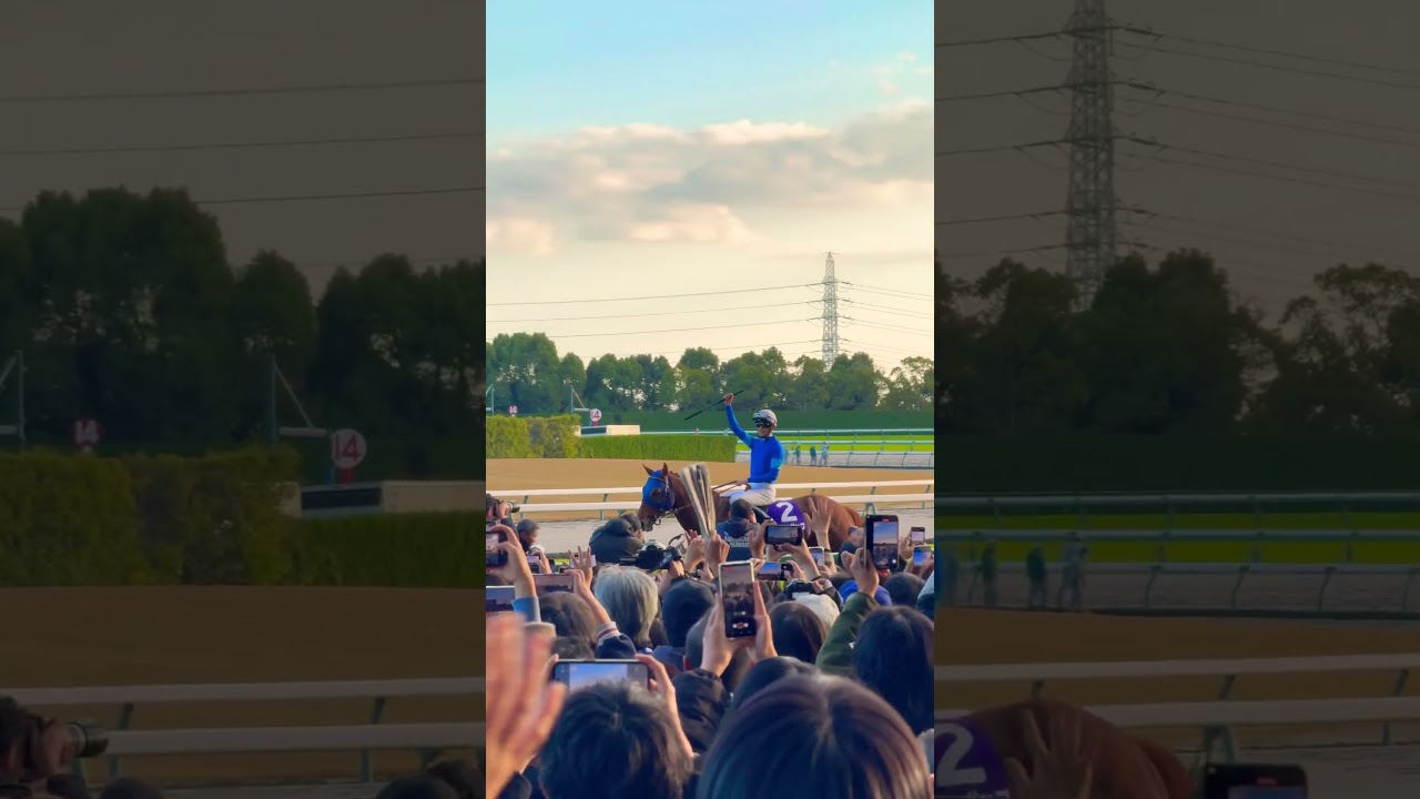 レモンポップ、有終の美 #horse #horseracing #animals #競馬 #坂井瑠星 #チャンピオンズカップ