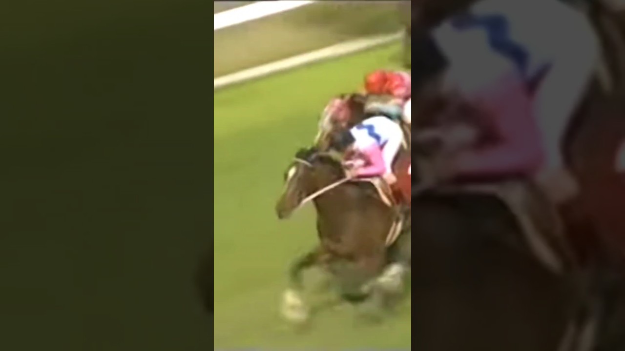 #shorts 1992 産經大阪杯（大阪杯） #トウカイテイオー #岡部幸雄