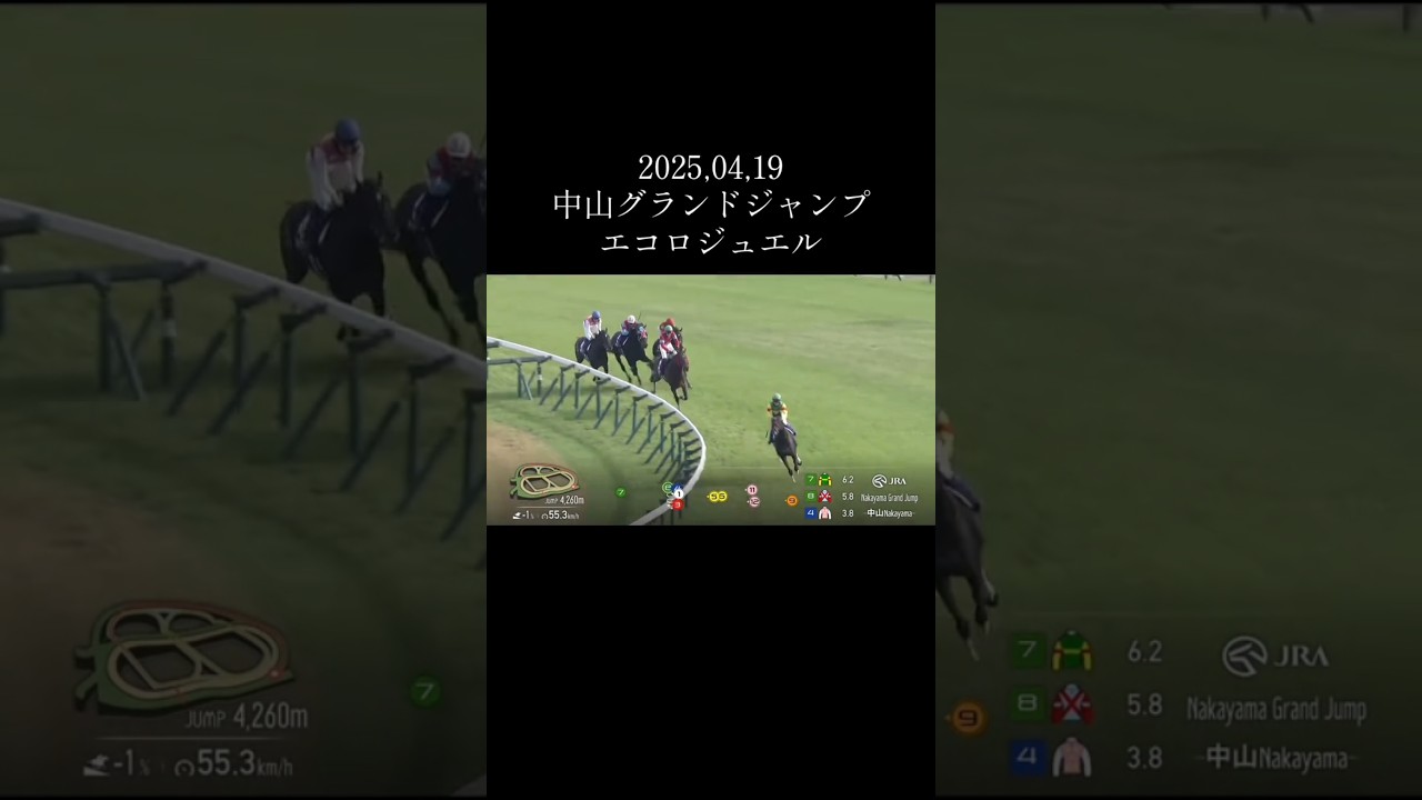 2025,04,19中山グランドジャンプエコロジュエル#競馬 #競馬予想 #馬 #shorts
