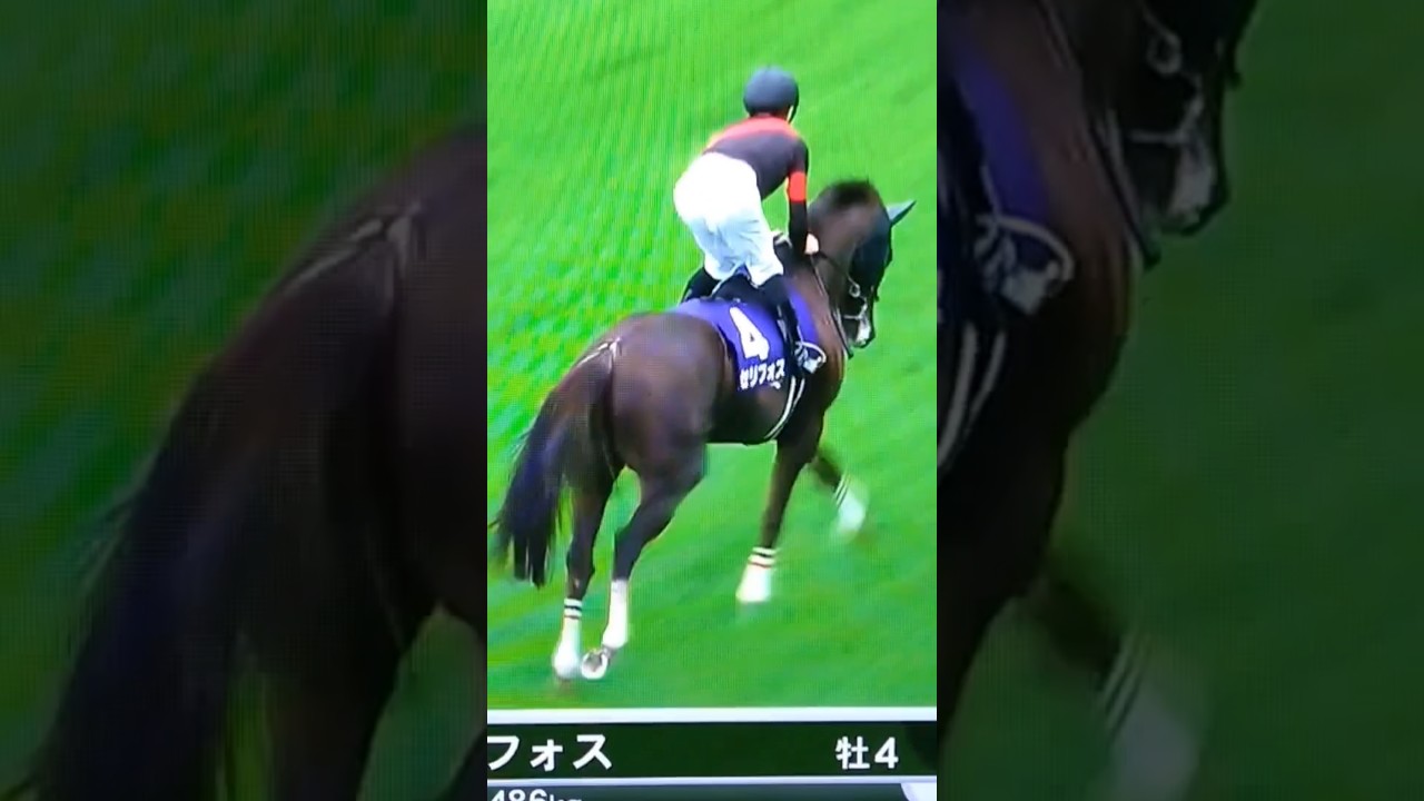 セリフォスくん返し馬#安田記念2023 #セリフォス