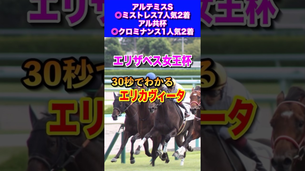 【エリザベス女王杯2024】30秒でわかるエリカヴィータ