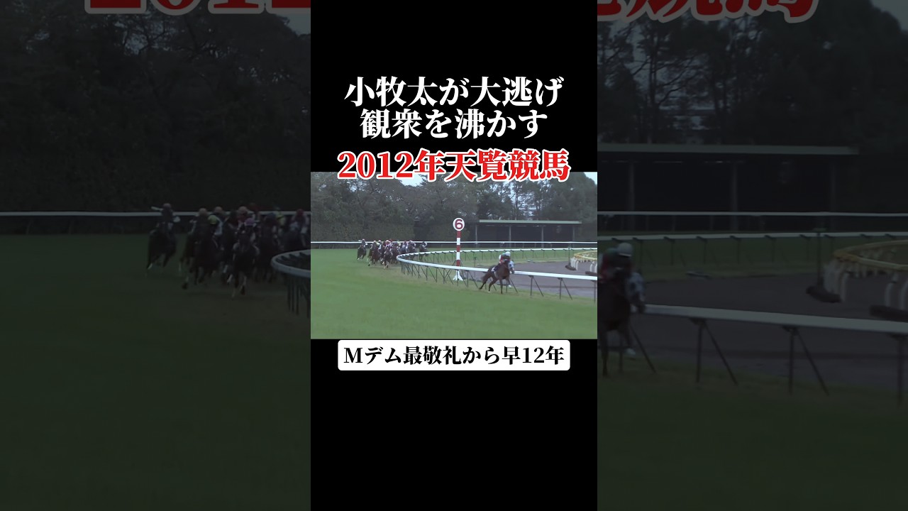小牧太が大逃げした天皇賞秋 #shorts #競馬 #競馬予想 #天皇賞秋2024