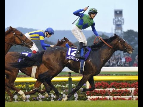 2011　天皇賞秋 GⅠ　トーセンジョーダン　Ｎ．ピンナ