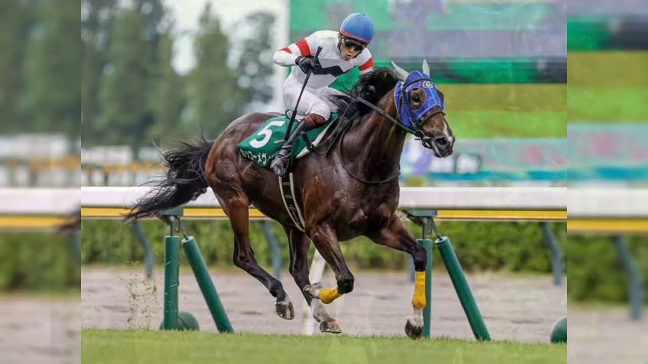 新潟ジャンプＳ目前！ヒートオンビート、満点追い切りで重賞初Ｖへ視界良好