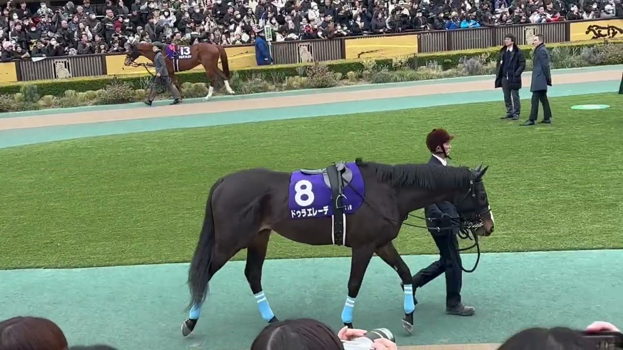 2025/2/23 フェブラリーS パドック