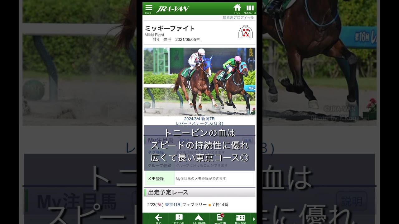 血統予想派ガシーのGIフェブラリーステークス予想 #血統予想 #フェブラリーステークス #ミッキーファイト