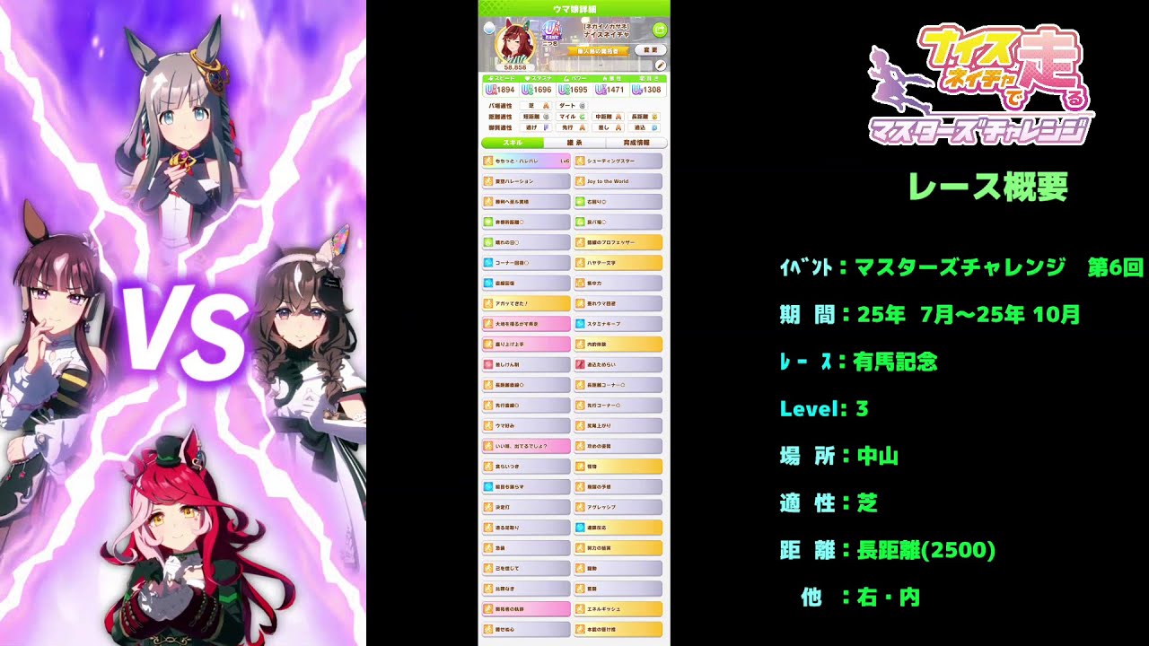 ナイスネイチャで走るマスターズチャレンジ　長距離（有マ記念）